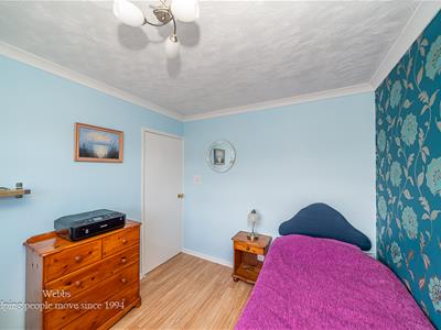 Picture 20